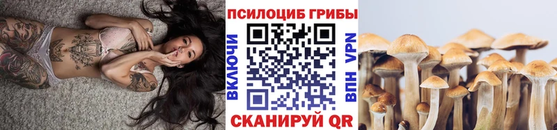 Галлюциногенные грибы мицелий  ОМГ ОМГ ONION  Мосальск 